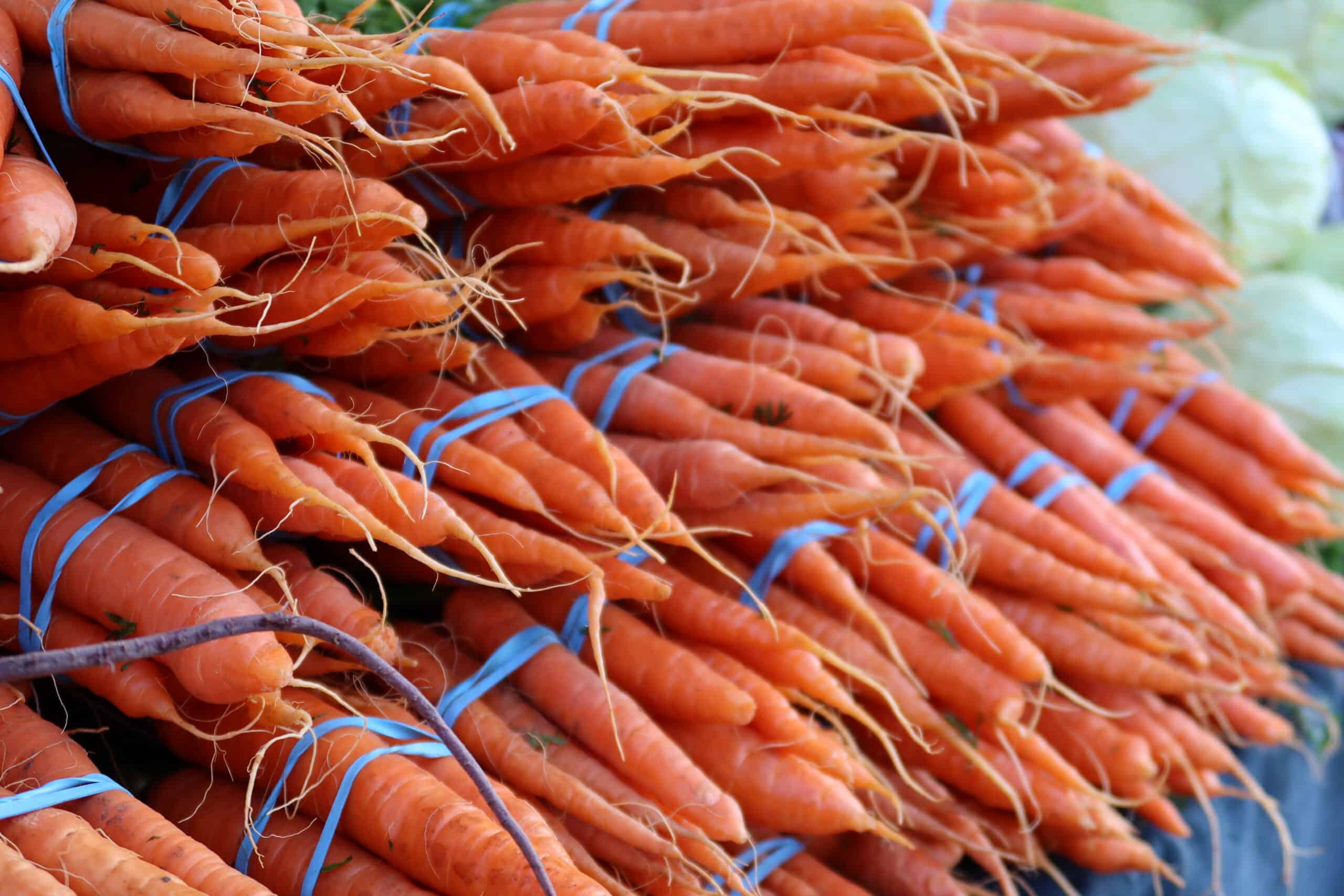 Modesto Certified Farmers Market Central Valleys Premiere Public Market